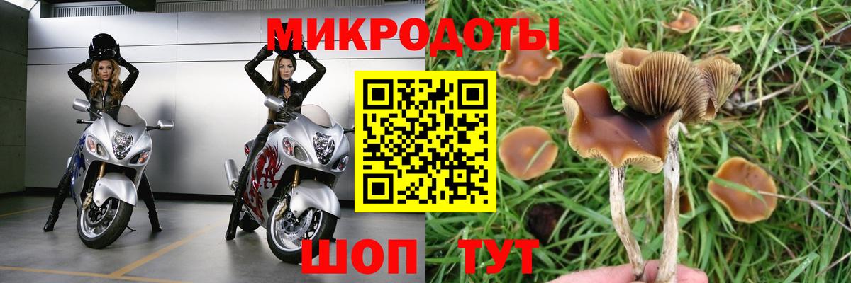 Острогожск  Псилоцибиновые грибы ЛСД  Вход с VPN 